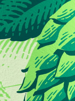 Fresh Hop