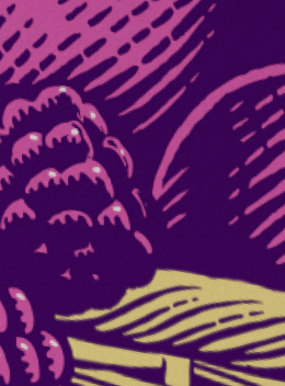 Dark Fruit