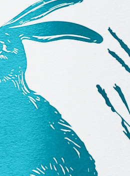 The Lost Rabbit